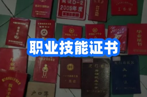职业技能证书样本