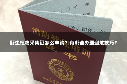 野生植物采集证怎么申请？有哪些办理避坑技巧？